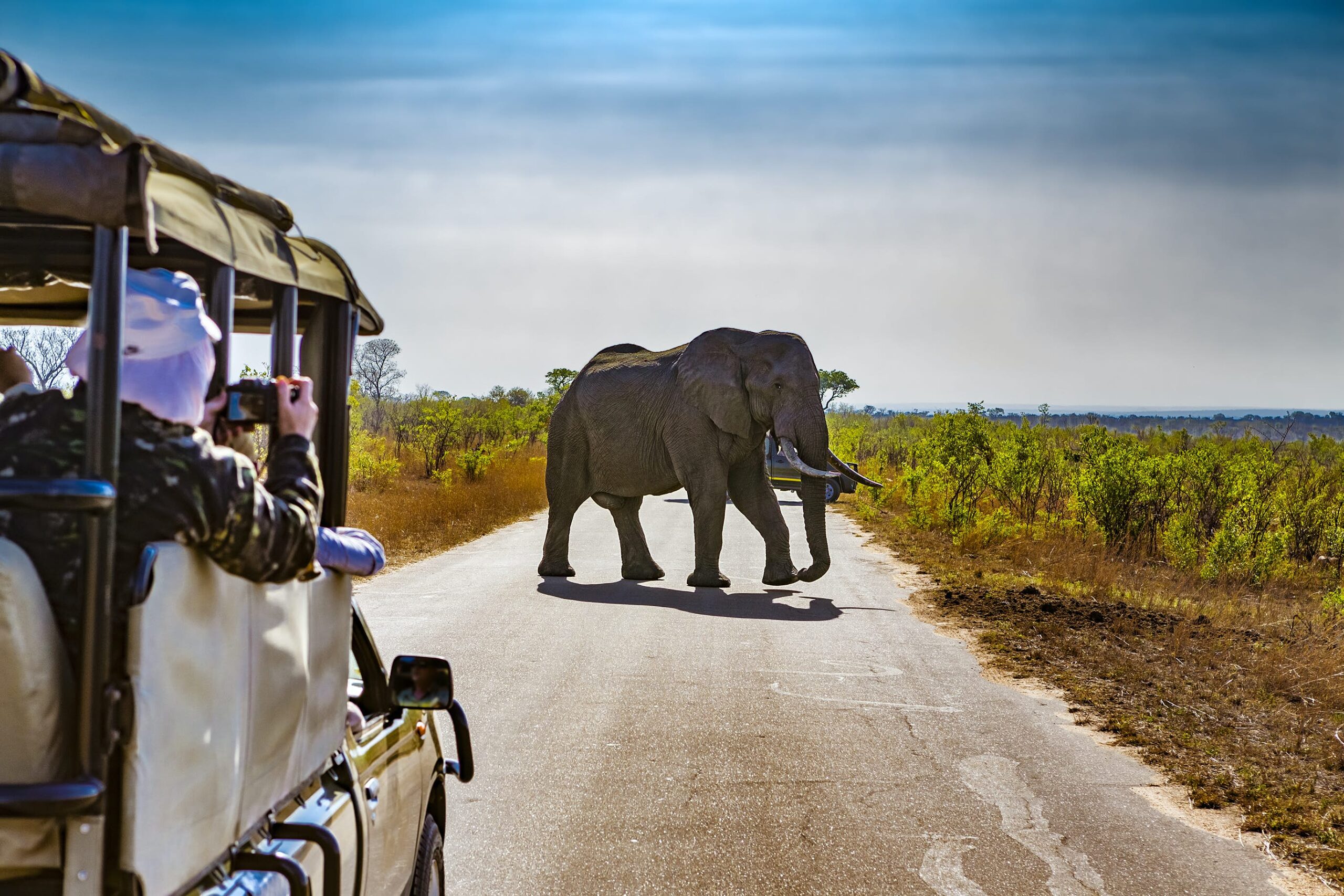 Tarangire National park