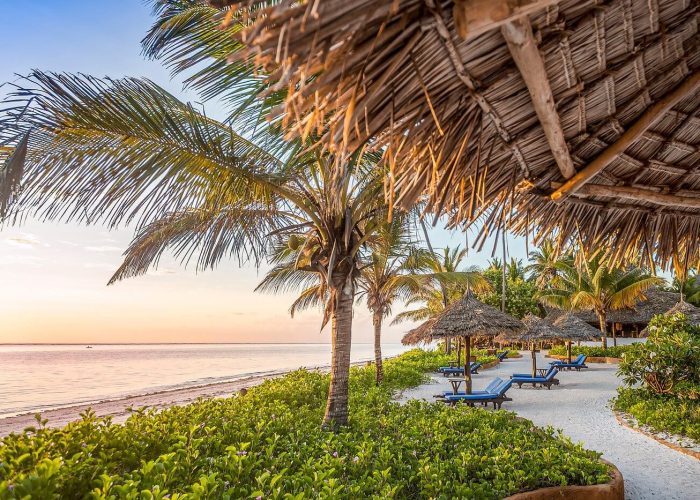 luxury migration and zanzibar1 luxury migration and zanzibar1