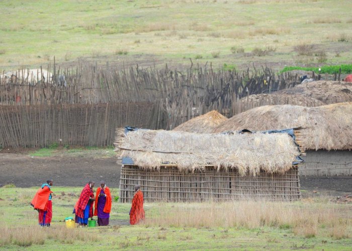 ngorongoro conservation master2 ngorongoro conservation master2